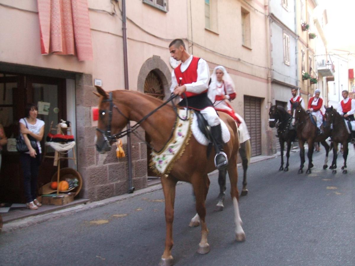 Affitta Camere Casa Delle Rose Villanova Monteleone Екстер'єр фото